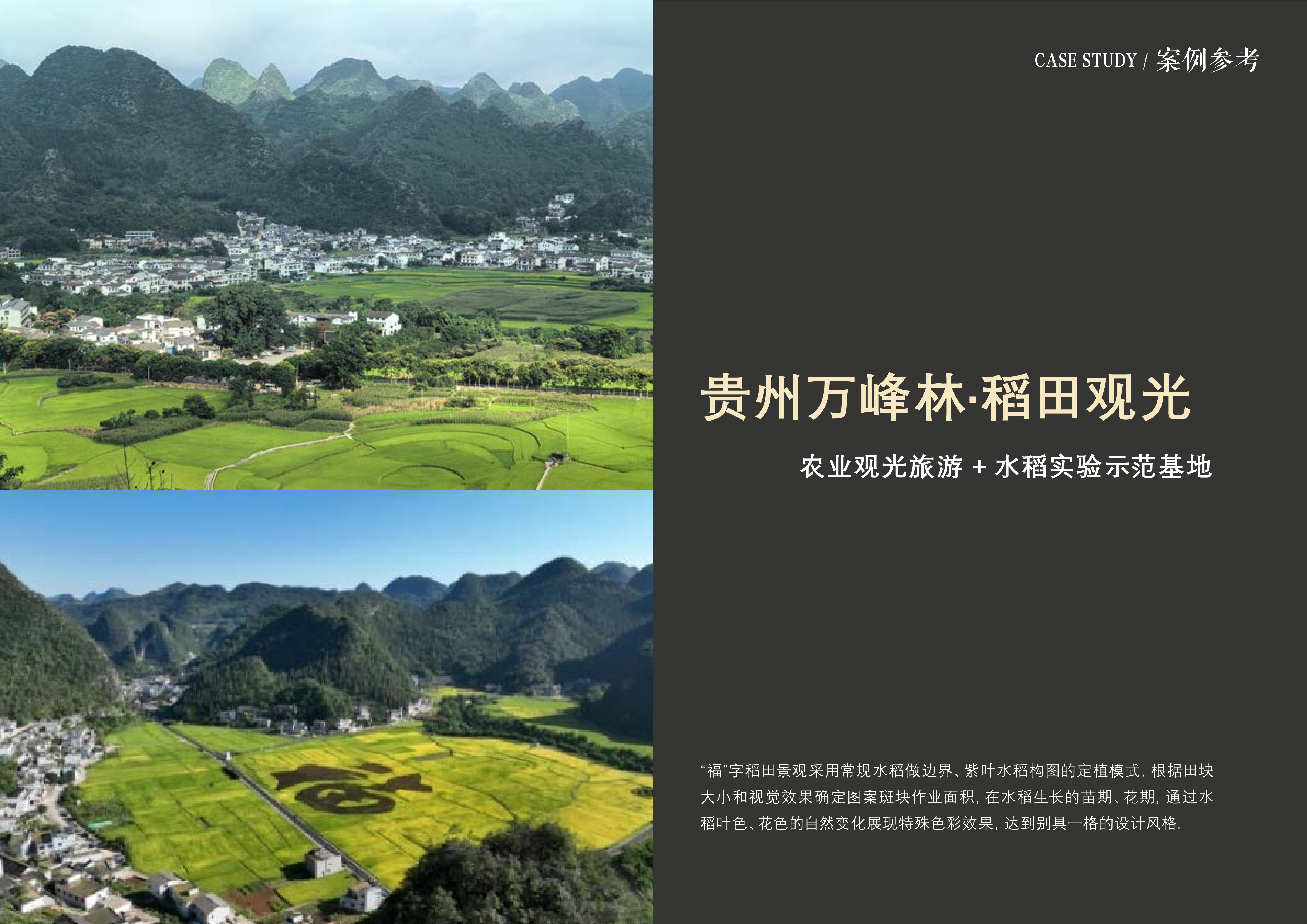 20241016灵谷峰策划文本-1(1)-006