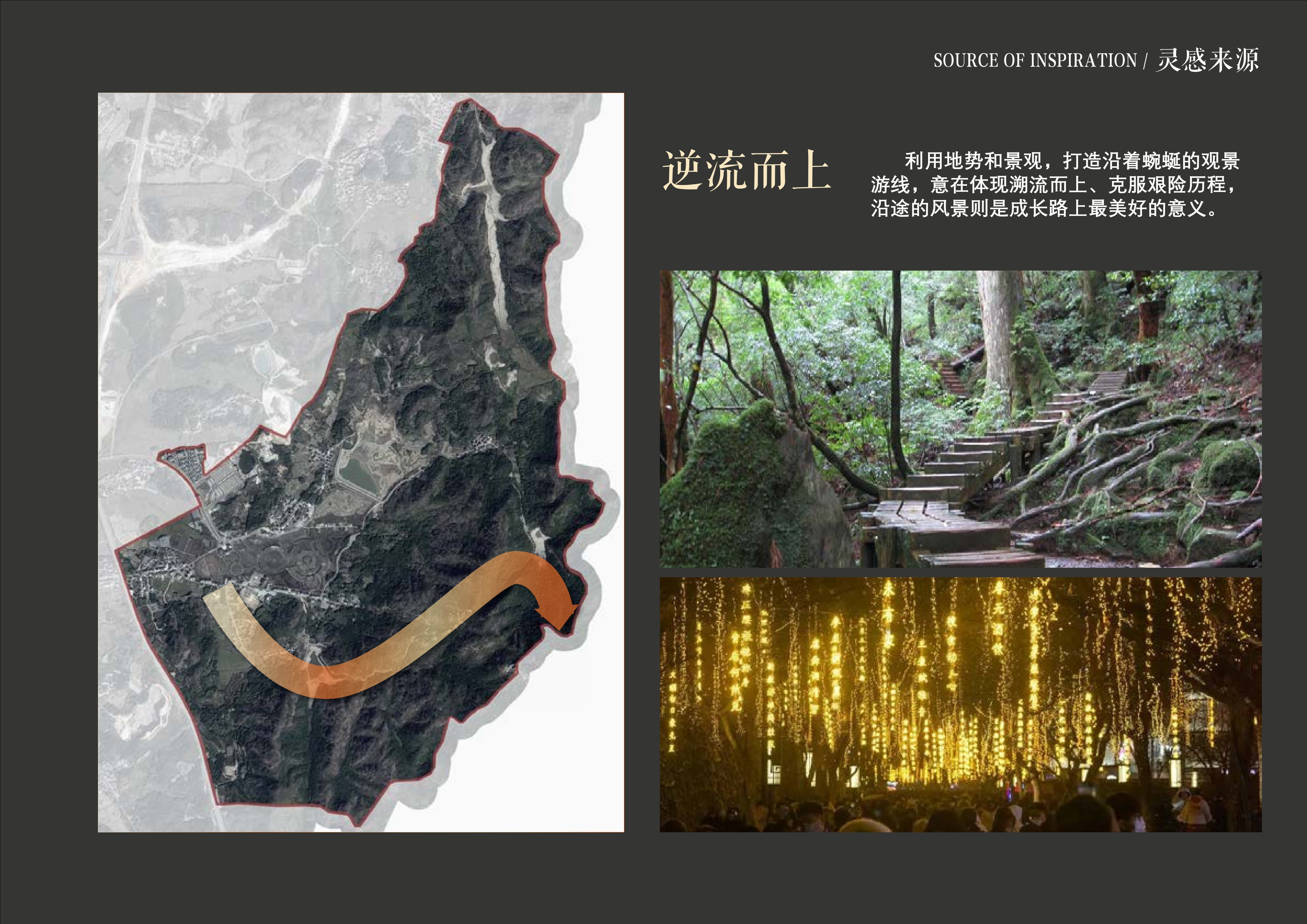 20241016灵谷峰策划文本-1(1)-048