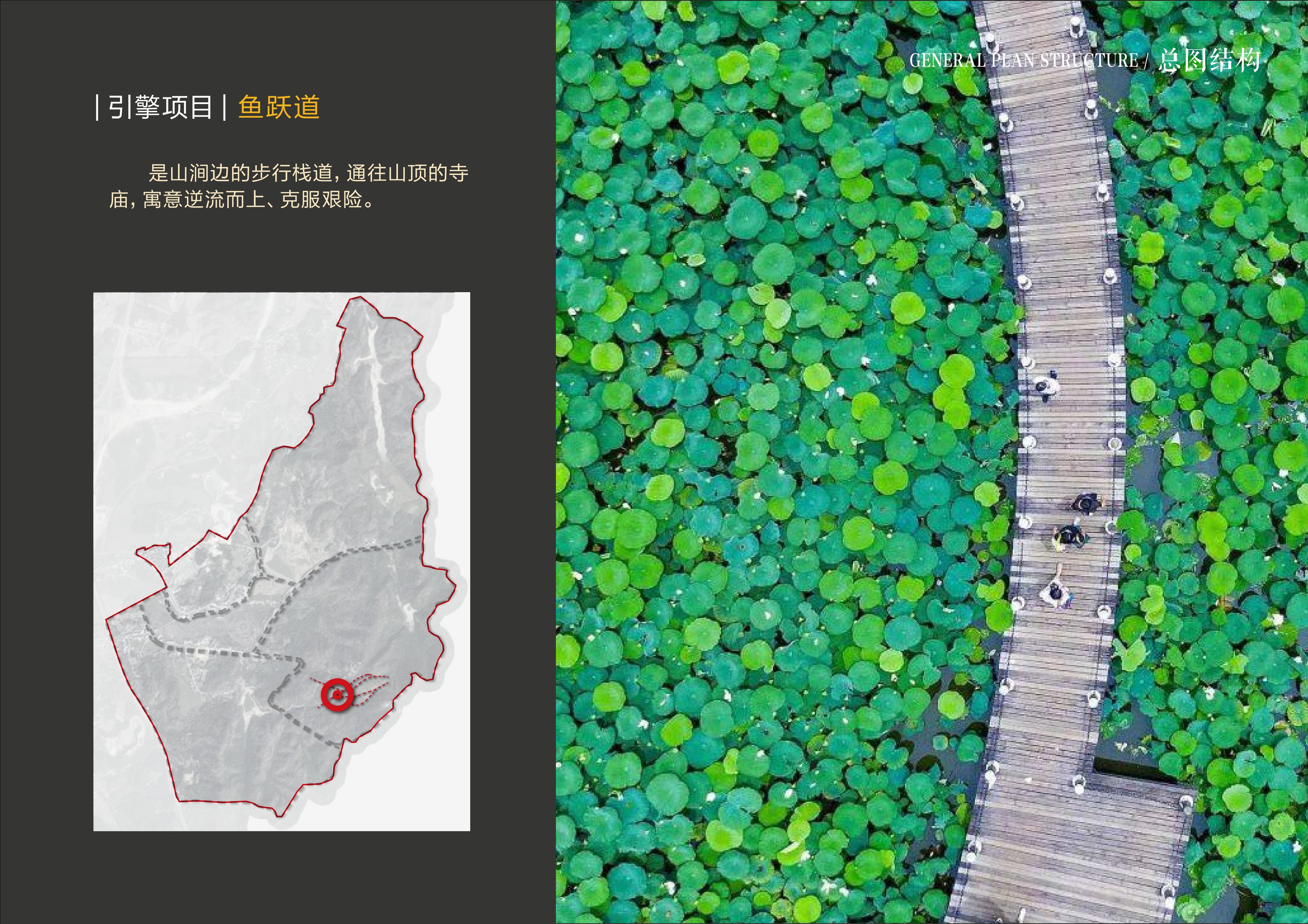 20241016灵谷峰策划文本-1(1)-056