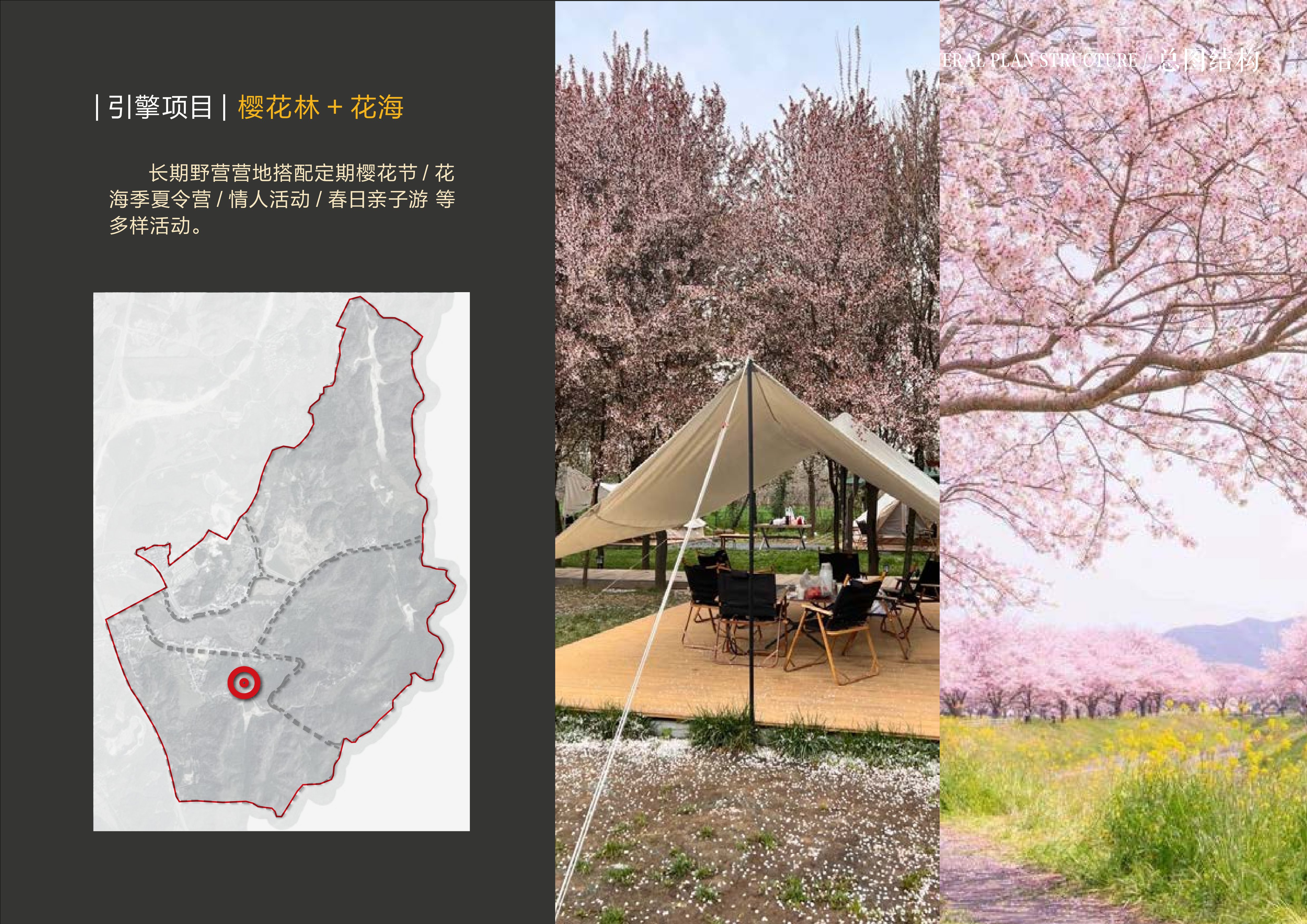 20241016灵谷峰策划文本-1(1)-065