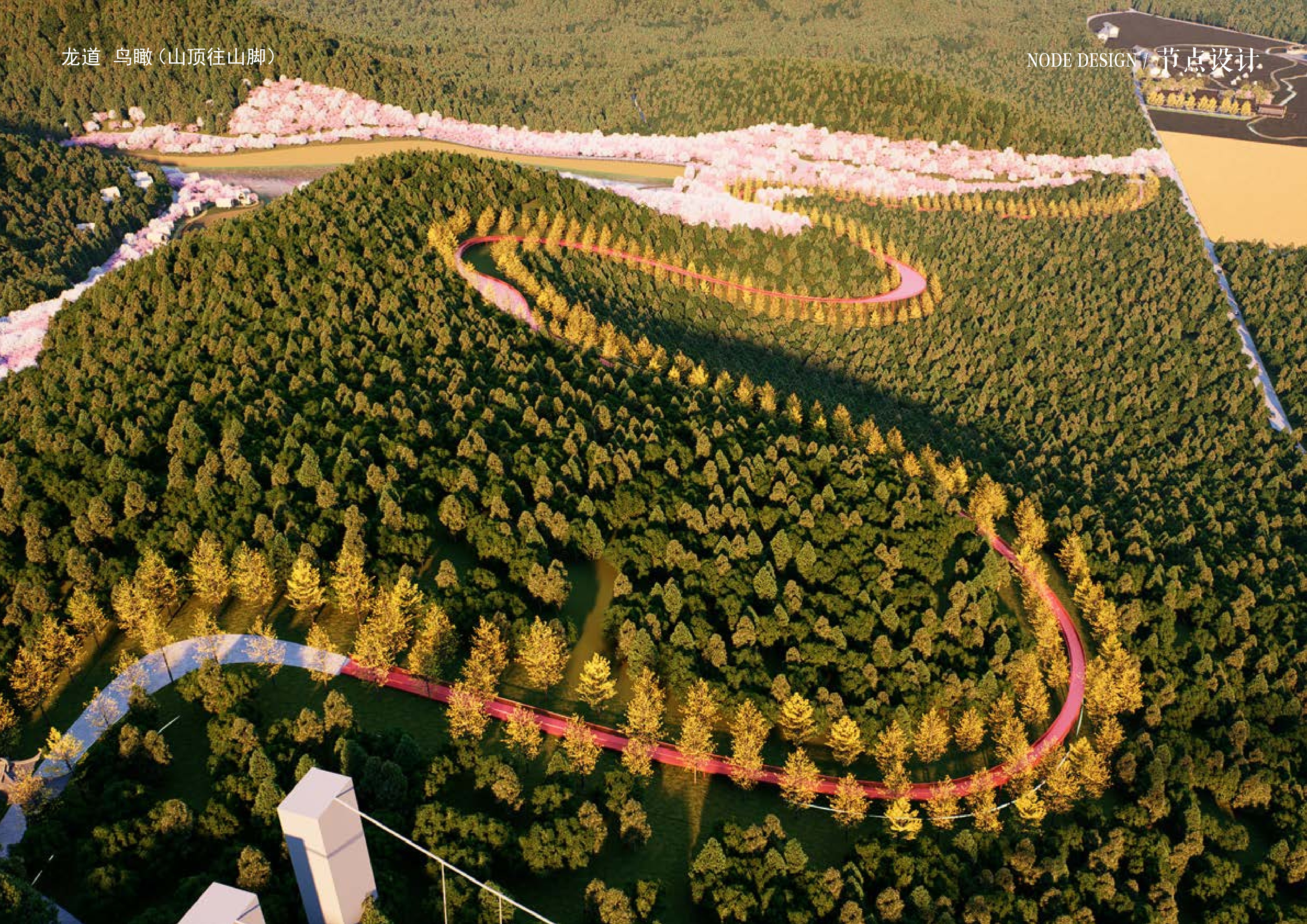 20241016灵谷峰策划文本-1(1)-101