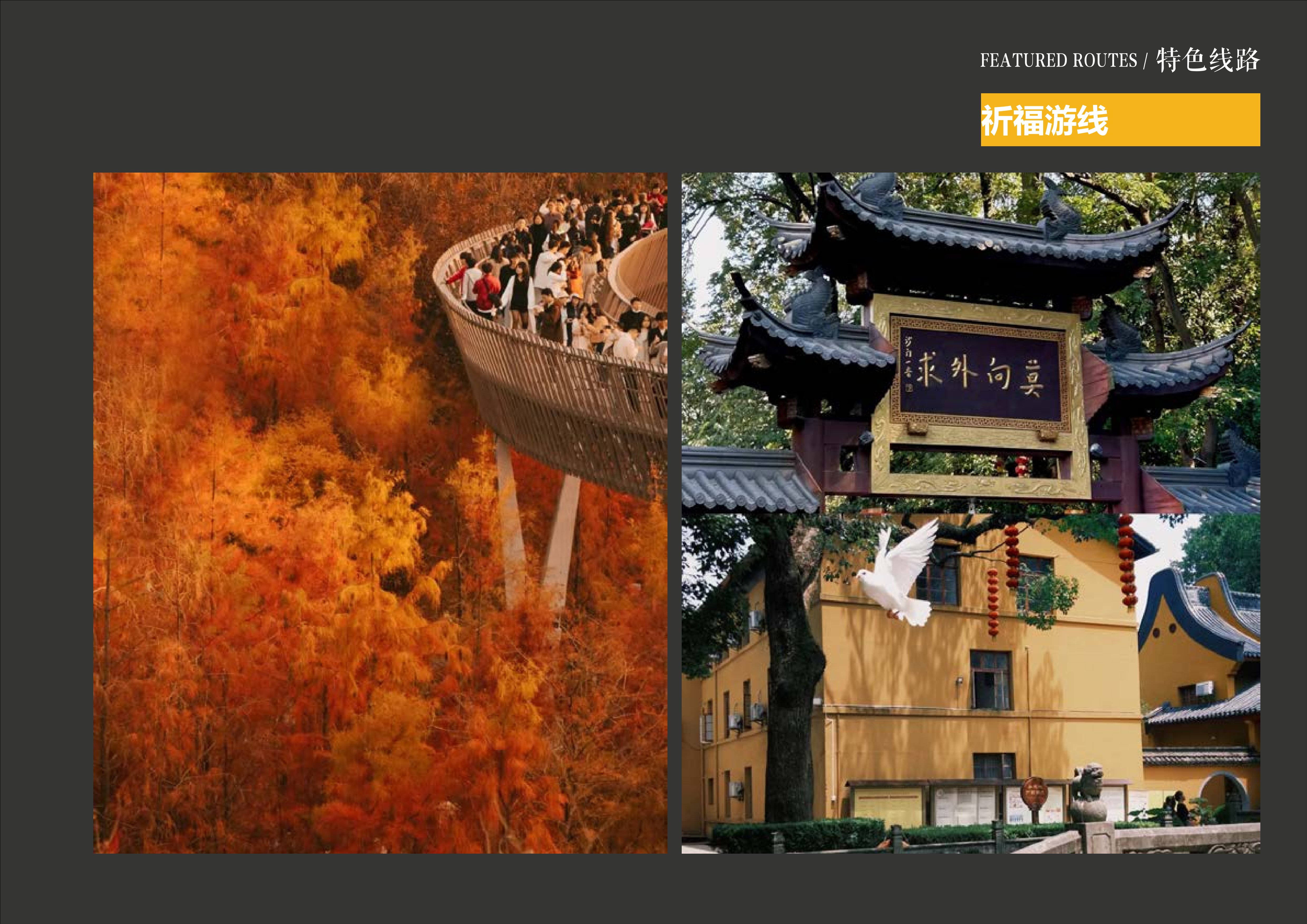 20241016灵谷峰策划文本-1(1)-126