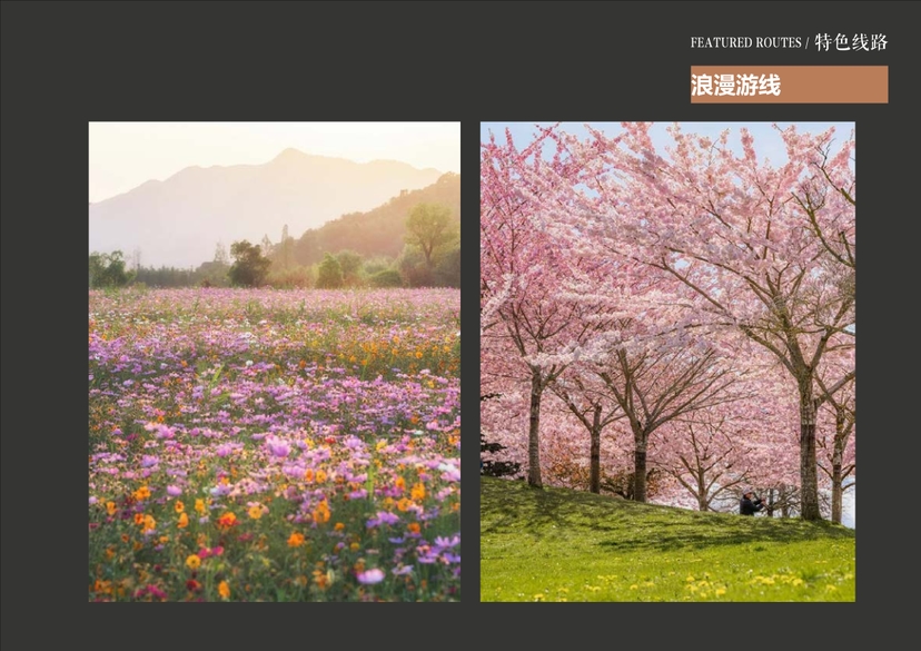 20241016灵谷峰策划文本-1(1)-132